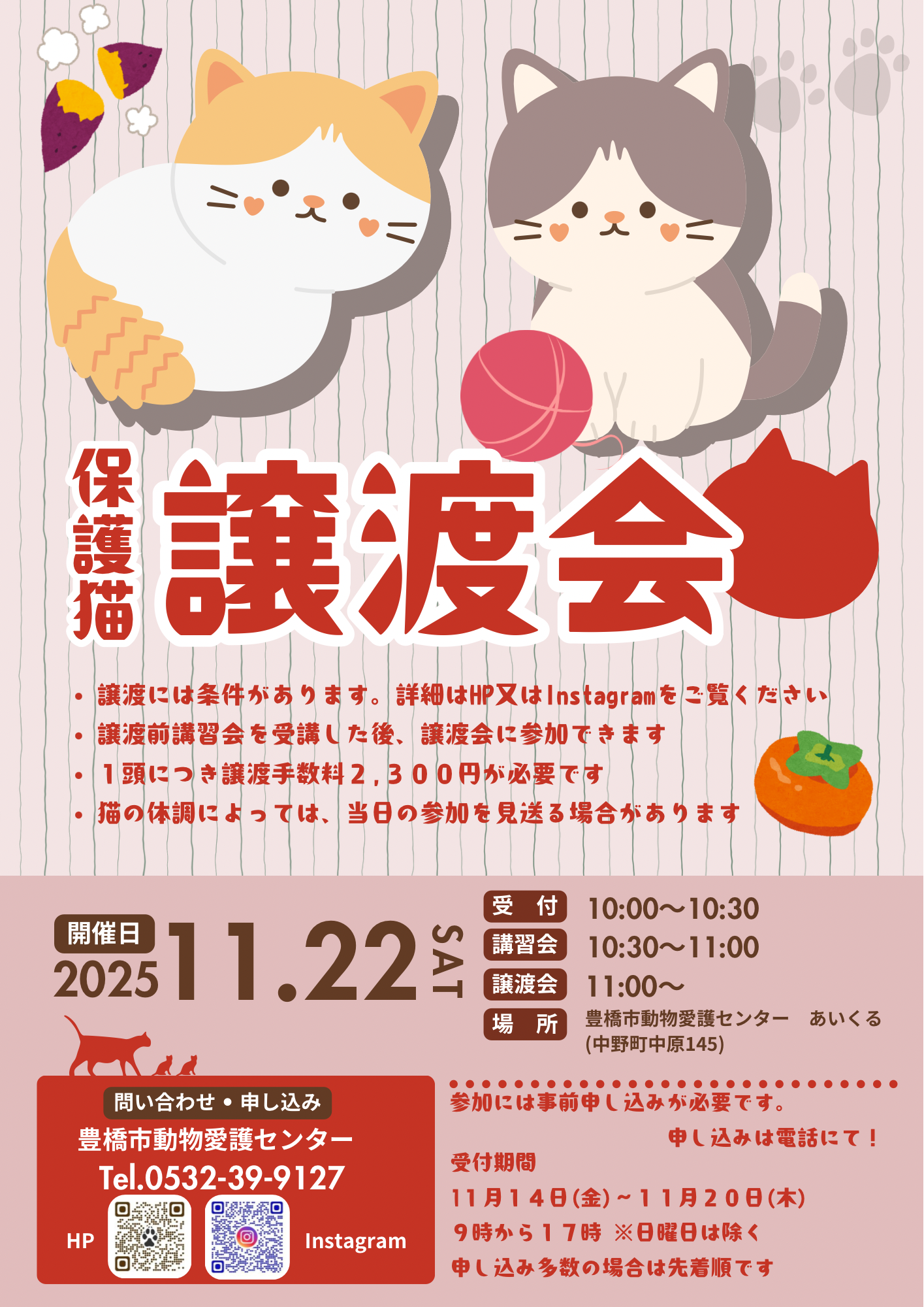 令和７年11月22日譲渡会のお知らせ